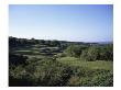 Makena Resort North Course, Hole 13 by Stephen Szurlej Limited Edition Print