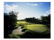 Tpc Boston, Hole 18 by Stephen Szurlej Limited Edition Print