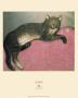 Cat Stretched Out by Theophile Alexandre Steinlen Limited Edition Print