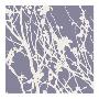 Grey Misty Twigs by Kim Robertson Limited Edition Print