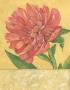 Peony by Stephanie Marrott Limited Edition Pricing Art Print