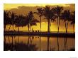 Couple, Palm Trees And Sunset Reflecting In Lagoon At Anaeho'omalu Bay, Big Island, Hawaii, Usa by John & Lisa Merrill Limited Edition Pricing Art Print