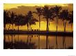 Couple, Palm Trees And Sunset Reflecting In Lagoon At Anaeho'omalu Bay, Big Island, Hawaii, Usa by John & Lisa Merrill Limited Edition Print