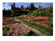 Elizabethan Knot Garden, Shakespeare's Home, Stratford-On-Avon, England by Nik Wheeler Limited Edition Print