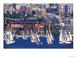 Sailboat Race On Lake Union, Seattle, Washington, Usa by William Sutton Limited Edition Print