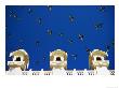 Pigeons Fly Against Blue Sky And Roof Of Jaswant Thada Mausoleum, Jodhpur, India by Anthony Plummer Limited Edition Print