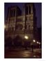 Notre Dame Cathedral On A Winter Evening, Paris, France by Taylor S. Kennedy Limited Edition Print