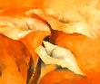 Callas by Elena Filatov Limited Edition Print