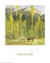 Through The Aspens by Francis Livingston Limited Edition Print
