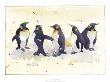 Penguins by Kate Philp Limited Edition Pricing Art Print