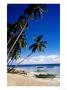 Palm Trees And Outrigger On Paliton Beach, Siquijore, Philippines by Craig Pershouse Limited Edition Print