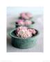 Soliflore by Amelie Vuillon Limited Edition Pricing Art Print