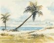 Tropic Daydreams Ii by Deborah Ponder Limited Edition Pricing Art Print