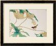 Bird On Lotus Leave by Hsi-Tsun Chang Limited Edition Print