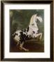 The Piebald Stallion At The Eisgruber Stud by Johann Georg De Hamilton Limited Edition Pricing Art Print