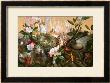 Fairies Round A Bird's Nest, The Distressed Mother by John Anster Fitzgerald Limited Edition Print