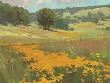 Ray Roberts Pricing Limited Edition Prints