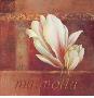 Magnolia Blooms I by Fabrice De Villeneuve Limited Edition Pricing Art Print