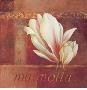 Magnolia Blooms I by Fabrice De Villeneuve Limited Edition Print