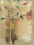 Hibiscus Sur Fond Chair Ii by C. Bernarduchene Limited Edition Print