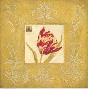 Brocade Tulip by Laurel Lehman Limited Edition Pricing Art Print