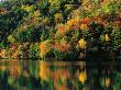 Calm Lake By Forest by Sahide Fukayama Limited Edition Print