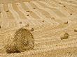 Italy, Tuscany, Harvested Corn Field, Bales Of Straw by Fotofeeling Limited Edition Print