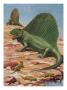 Dimetrodons' Spines Could Grow Up To Four Feet High by National Geographic Society Limited Edition Print