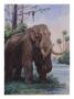 When The Age Of Man Began, The Mastodon Still Inhabited North America by National Geographic Society Limited Edition Print