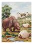 The Toxodon, Glyptodon And Macrauchenias Lived In South America by National Geographic Society Limited Edition Print