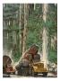 Men Drive Trucks Loaded With Massive Tree Trunks by National Geographic Society Limited Edition Pricing Art Print
