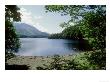 View South Over Thirlmere Resevoir From Northern Shore, Cumbria, Uk by Ian West Limited Edition Print