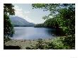 View South Over Thirlmere Resevoir From Northern Shore, Cumbria, Uk by Ian West Limited Edition Pricing Art Print