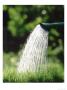 Watering Grass by Herbert Kehrer Limited Edition Print