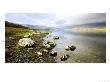 View Along Loch Spelve From Dalnaha, Scotland by Elliott Neep Limited Edition Print