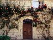 Roses Climbing Over Front Of House In The Loire Valley, Loches, France by Diana Mayfield Limited Edition Print