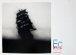 Untitled by Edward Ruscha Limited Edition Pricing Art Print