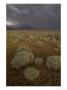 Thunderstrom And Sage Near Bishop, California by Phil Schermeister Limited Edition Print