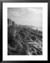 Cars Driving Off The George Washington Bridge In The Afternoon During Memorial Day Traffic by Cornell Capa Limited Edition Print