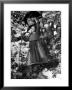 Italian Refugee Women Carrying Their Belongings In Baskets, While Fleeing Their Homes In Wwii by Robert Capa Limited Edition Print