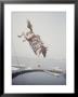 Horse With Lbj Banner Diving Into The Water At Atlantic City by Art Rickerby Limited Edition Print
