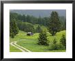 Alpine Field, Bad Hindelang, Deutsche Alpenstrasse, Bavaria, Germany by Walter Bibikow Limited Edition Print