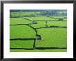 Swaledale, Yorkshire Dales, Yorkshire, England by Steve Vidler Limited Edition Print