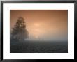 Autumn Impression, Luebbecke, Germany by Thorsten Milse Limited Edition Print