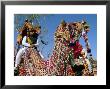 Camels Adorned With Colourful Tassels And Bridles, Bikaner Desert Festival, Rajasthan State, India by Marco Simoni Limited Edition Print