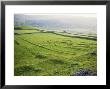 Remnants Of Celtic Settlement On Limestone Bench, Hill Castles, Wharfedale, Yorkshire by Tony Waltham Limited Edition Print