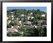 Prestigious Hillside Residences, St. Paul De Vence, Alpes-Maritimes, Provence, France by Ruth Tomlinson Limited Edition Pricing Art Print