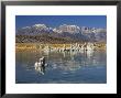 Calcium Carbonate Tufas, Mono Lake, California, Usa by Gavin Hellier Limited Edition Print