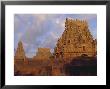 The Brihadeshwara (Brihadishwara) Temple, Built In 1000 Ad, At Tanjore, Tamil Nadu, India by David Beatty Limited Edition Print