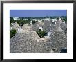 Alberobello, Typical Houses, Apulia (Puglia), Italy by Bruno Morandi Limited Edition Pricing Art Print